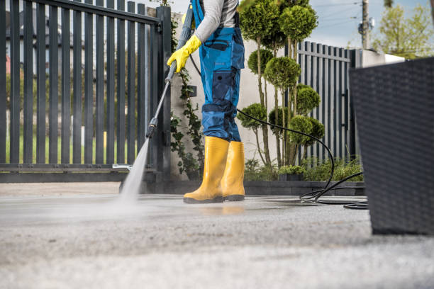 Best Driveway Pressure Washing  in University Of Pittsburgh Johnstown, PA